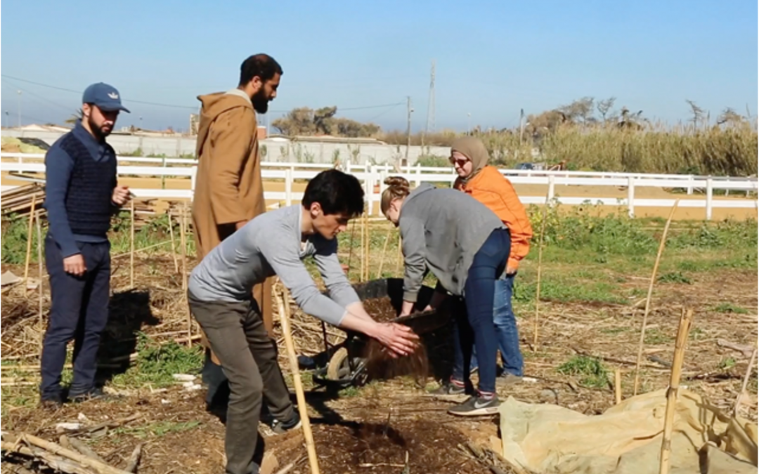 TORBA Du jardin partagé à la solidarité paysanne en Algérie